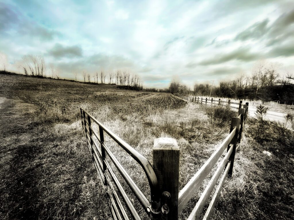 an artistic image of a fence and the sky